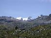 lebisshornetleweisshorn : 800x600